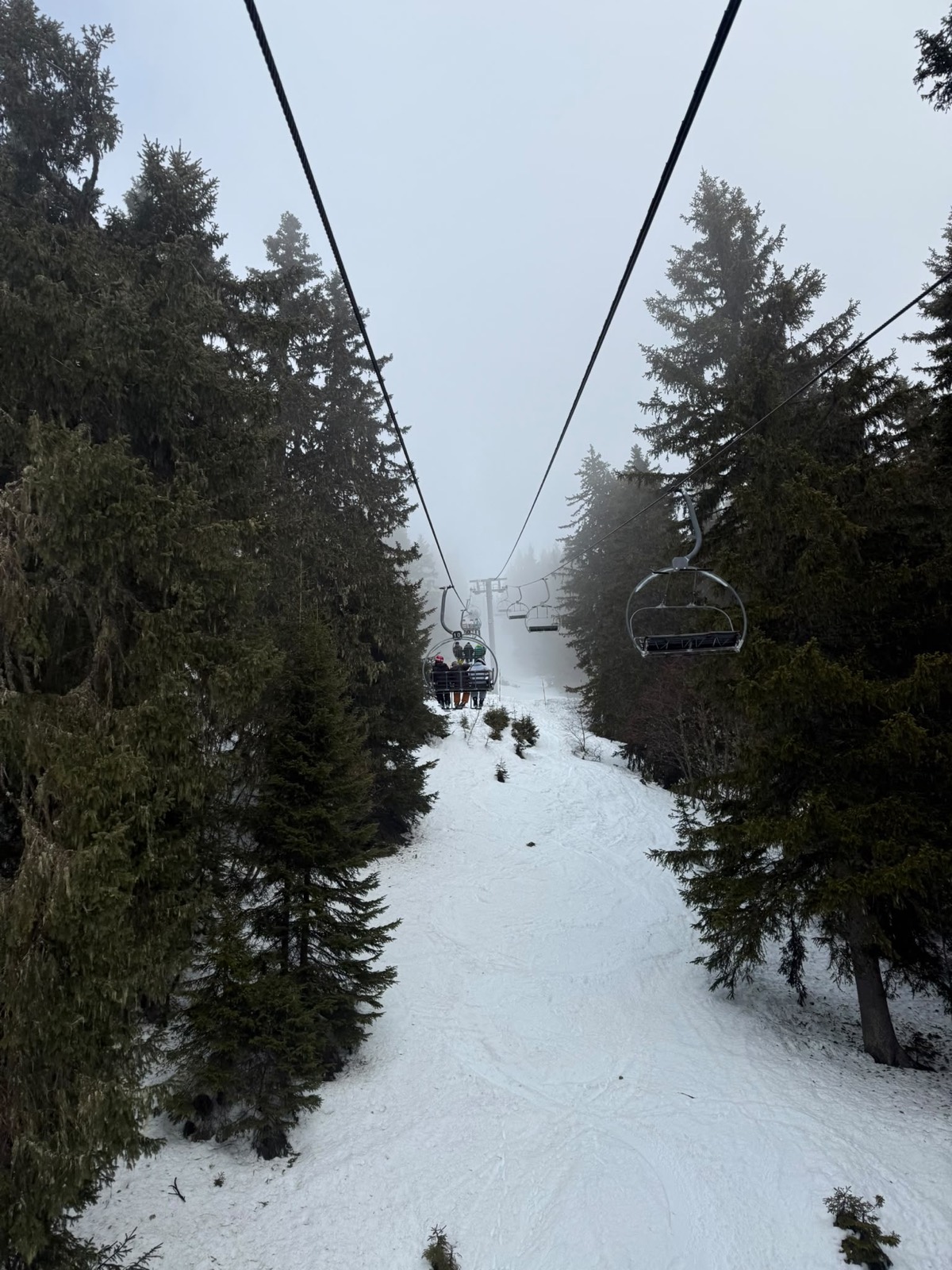 A chairlift disappearing into fog between dark pine trees